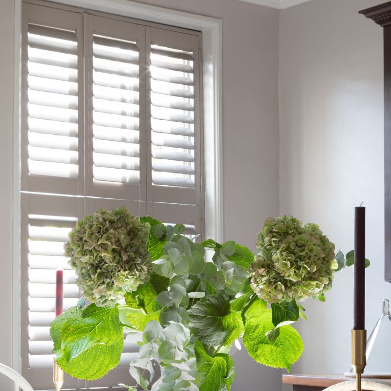 Paulownia window shutters by Mastercraft Shutters who work in Sussex and Surrey